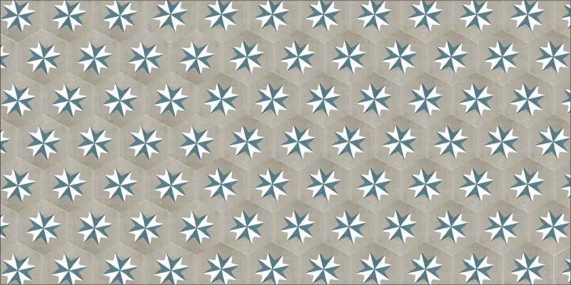 Baldosas calcáreas hexagonal con diseño de estrella.
