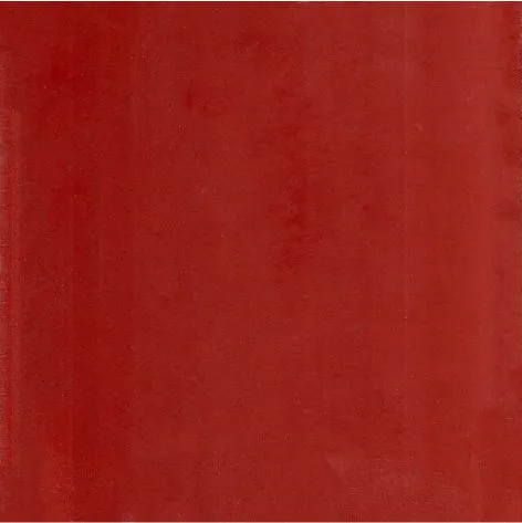 Baldosa calcárea 20x20 rojo 1