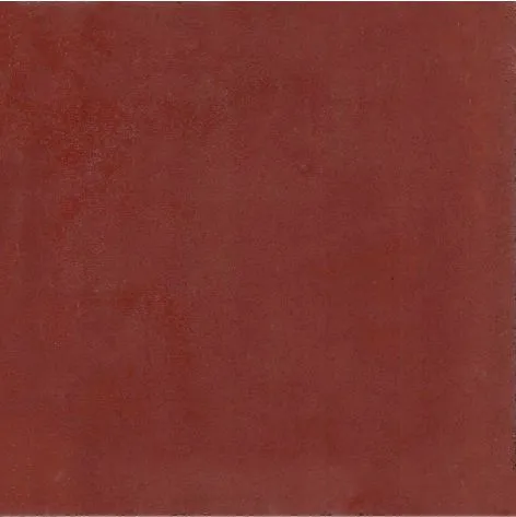 Baldosa calcárea 20x20 rojo 2