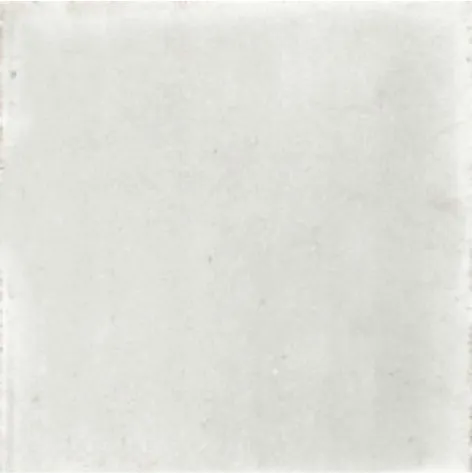 Baldosa calcárea 20x20 blanco comun